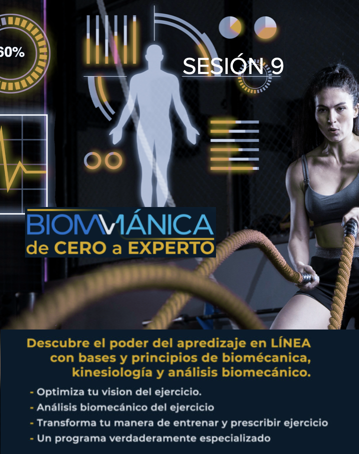 Biomv1ánica: De cero a experto, Sesión 9, Fundamentos de movilidad y flexibilidad humanas